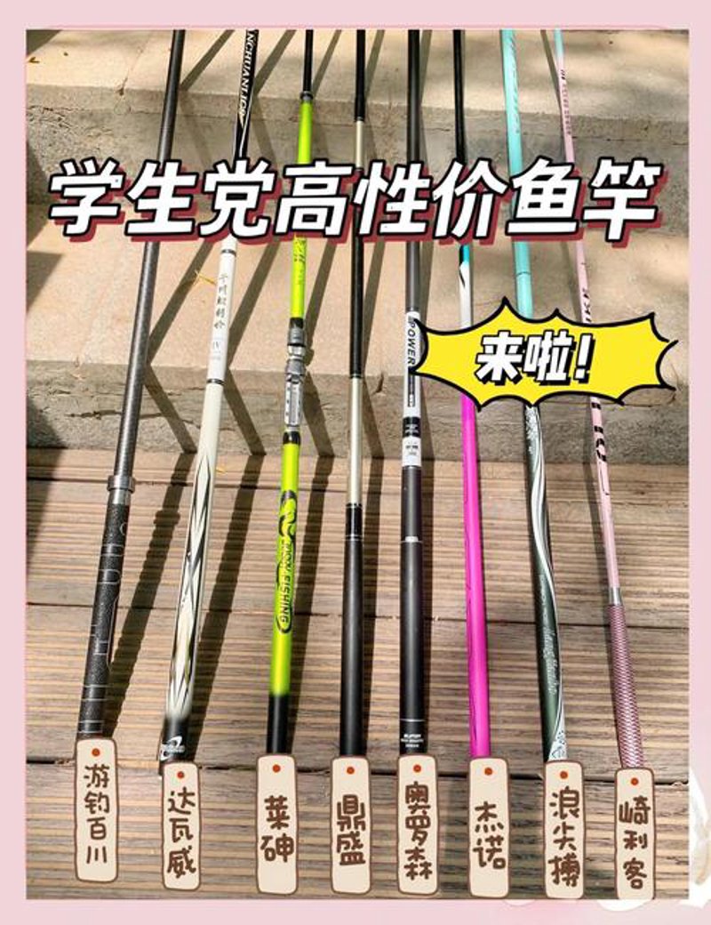 渔具批发风向引领者：行业动态解读