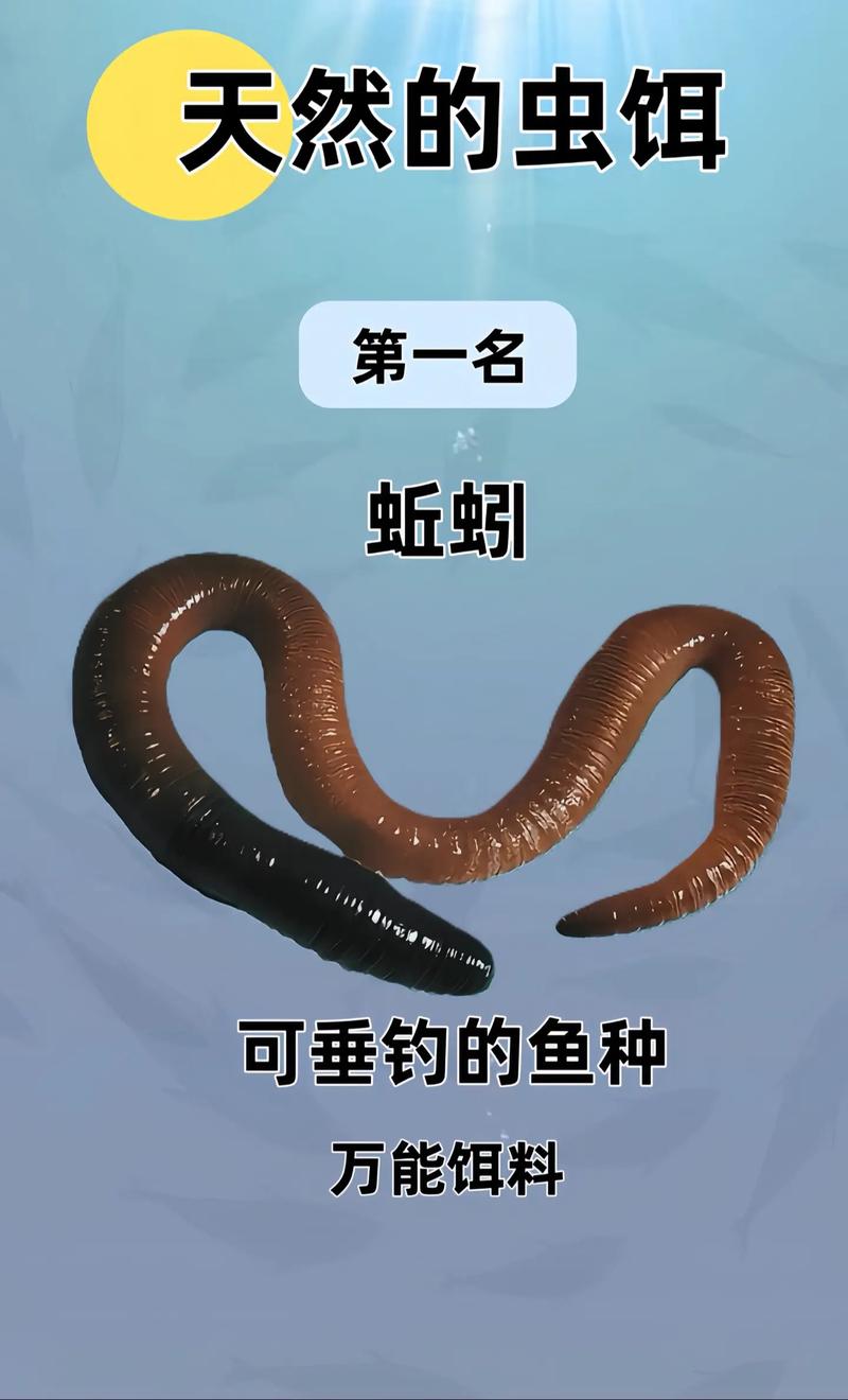 鱼饵